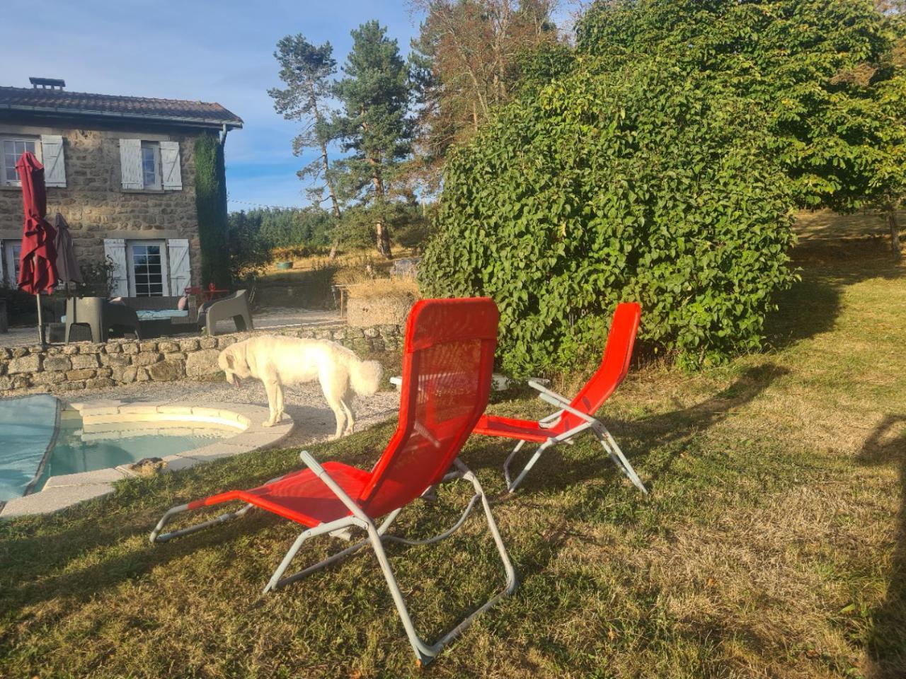Room Lover Les Chaizes Saint-Romain-Lachalm ภายนอก รูปภาพ